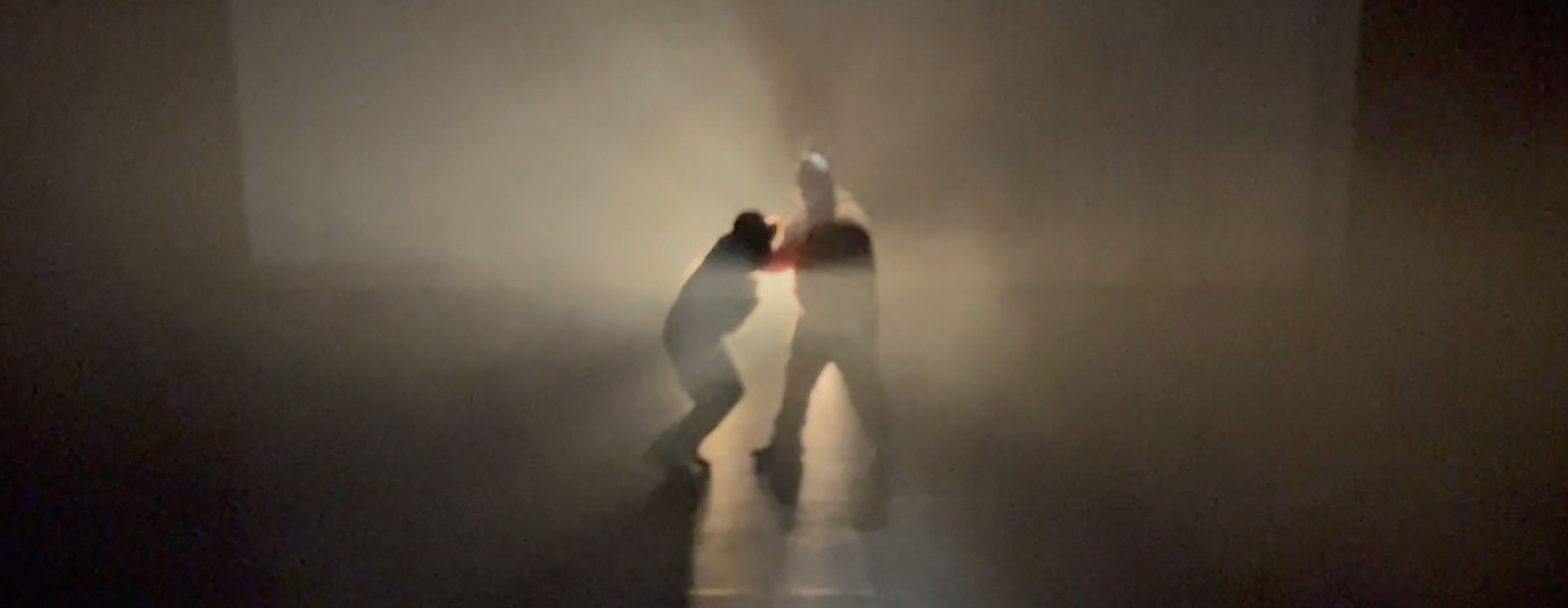 Aperçu du projet Drole d'abeille